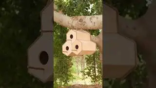 How to Make Whimsical Birdhouses for Your Feathered Friends! 🏡🕊️