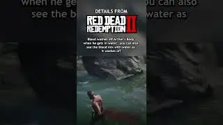 Small Detail From Red Dead Redemption 2  - Blood Washing Off in Water