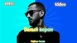 Эндшпиль & Джама   -  белый ворон (текст)