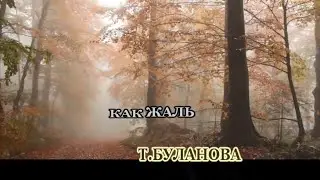 Т Буланова - Как жаль-  караоке(ориг +бэк)