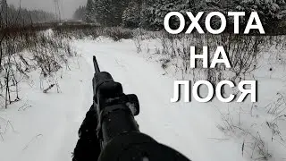 Охота НА ЛОСЯ. Снежные выходные.