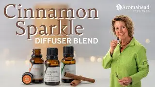 Cinnamon Sparkle Diffuser Blend