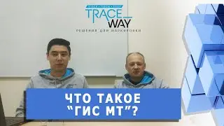 ▲ Что такое ГИС МТ? ▲ Словарь по маркировке