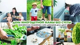 Сынок вернулся🤗Дела по дому | Забрали Соню | Разморозка ларя |Готовлю окрошку | Как расслабляюсь