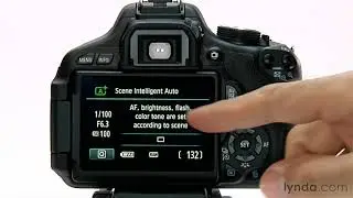 Canon DSLR Tutorial - Setting the auto mode