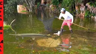 Catching FISH SWIMMING in FLOODED BACKYARD!