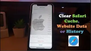 How to Clear Safari Cache on iPhone (Website Data or History)