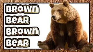 LEARN COLORS FOR TODDLERS AND BABIES | LEARN TO READ Brown Bear, Brown Bear, What Do You See REMIX