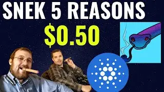 SNEK CARDANO MEMECOIN 5 REASONS FOR YOU! AND WARNING CRYPTO MARKET CRASH INCOMING?