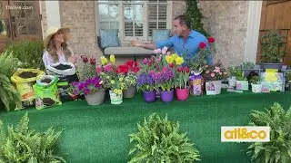 Spring Gardening Tips