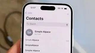 How To FIX Contact Card Not Showing On iOS 17!