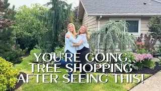 ALL The TREES! 🌳😮🌲 Suburban Garden Tour with the MOST Beautiful Trees!