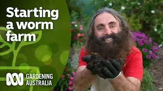 How to start a worm farm | DIY Garden Projects | Gardening Australia