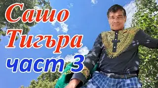 🇧🇬Сашо Тигъра  Част 3 .Искрено и лично.City musicians  