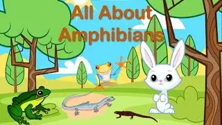 Amazing Amphibians: Cool Facts for Kids! 🐸 Amphibians: Creatures of Transformation and Survival