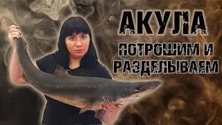 🐟🔪 АКУЛА потрошим и разделываем