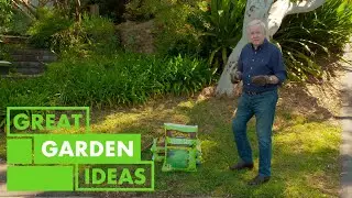 How to Keep Your Lawn Lush | GARDEN | Great Home Ideas