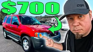 DEALERS ARE BROKE & CANT BUY, So I BOUGHT 9 CARS In ONE DAY!