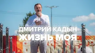 Дмитрий Кадын - Жизнь моя / Мелодия добра