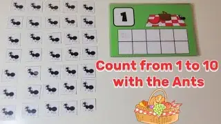 The Ants Picnic | count from 1 to 10 | Numbers 1 to 10 @bunnytales6401