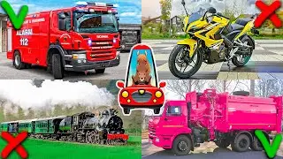 Cars sound. Transport and equipment for children. Educational video for kids about cars