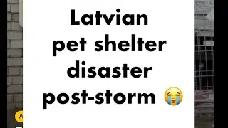 Latvian pet shelter aftermath of historic storm - they need your help! Please share!!