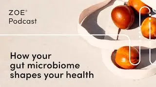 The Gut Microbiome: What Is It and Why Should You Care About Yours? | ZOE Science Podcast