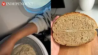 Plane passenger makes sourdough loaf during flight