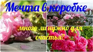 Vlog-83 Дамасская и Казанлыкская РОЗА🌹мечты сбываются! 🙏@Сад для души Арины🙏