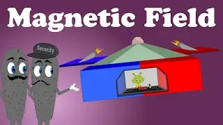 Magnetic Field | #aumsum #kids #science #education #children