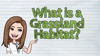 (SCIENCE) What is a Grassland Habitat? | #iQuestionPH