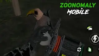 Zoonomaly Mobile: Scared Bird Gameplay