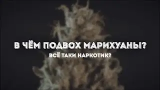 МАРИХУАНА: плюсы, минусы и подводные камни. Всё, что нужно знать о КАННАБИСЕ!