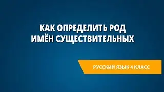 Как определить род имён существительных