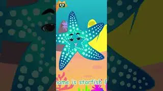 🌕 The Starfish Song | I am BRIS! #shorts #nurseryrhymes #kidssongs | Miniyo Kids