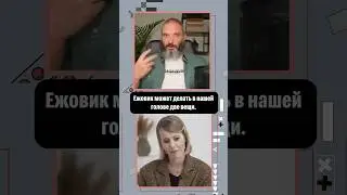 Ежовик гребенчатый при депрессии