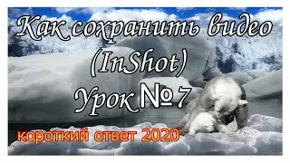 Как сохранить видео в InShot