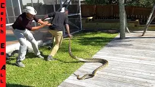 10 FOOT GIANT STEALING PETS Caught in MY BACKYARD!