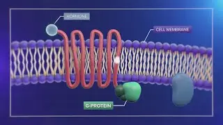 Treating depression: A breakthrough in the blood