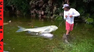 FINDING FISH SWIMMING into the WOODS during FLASH FLOOD!