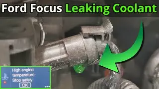 Ford Focus Major Coolant Leak - Found & Fixed