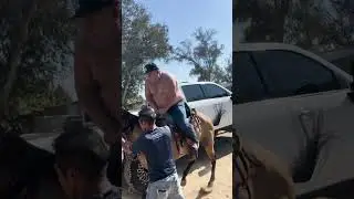 Guy falls off horse at music video