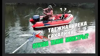 ТАЁЖНАЯ РЕКА ЗАБИТА КРУПНЫМ ТАЙМЕНЕМ!! ОХ УЖ ЭТИ САХАЛИНСКИЕ МОНСТРЫ!!!