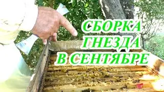 СЕНТЯБРЬ. СБОРКА ГНЕЗДА. ЧТО ДЕЛАТЬ с КОРМАМИ.