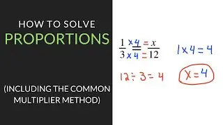 How to Solve Proportions | 6th Grade | Mathcation.com