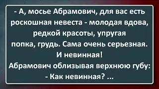 Почти Девственница для Мосье Абрамовича! Сборник Анекдотов Синего Предела №180