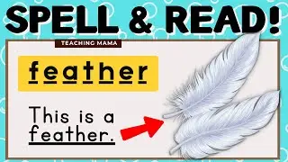 SPELL & READ! | VOCABULARY WORDS FOR KIDS | PRACTICE READING ENGLISH | SPELLING | TEACHING MAMA