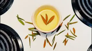 Discover How to Make Labrador Tea Custard