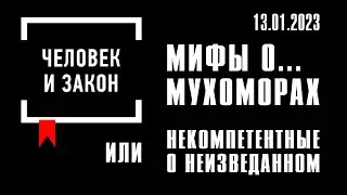 Человек и закон. Мифы о мухоморах, или Некомпетентные о неизведанном. Михаил Вишневский