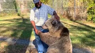 The Most Emotional Reunions Prove Animals Will Never Forget Their Owners ❤️